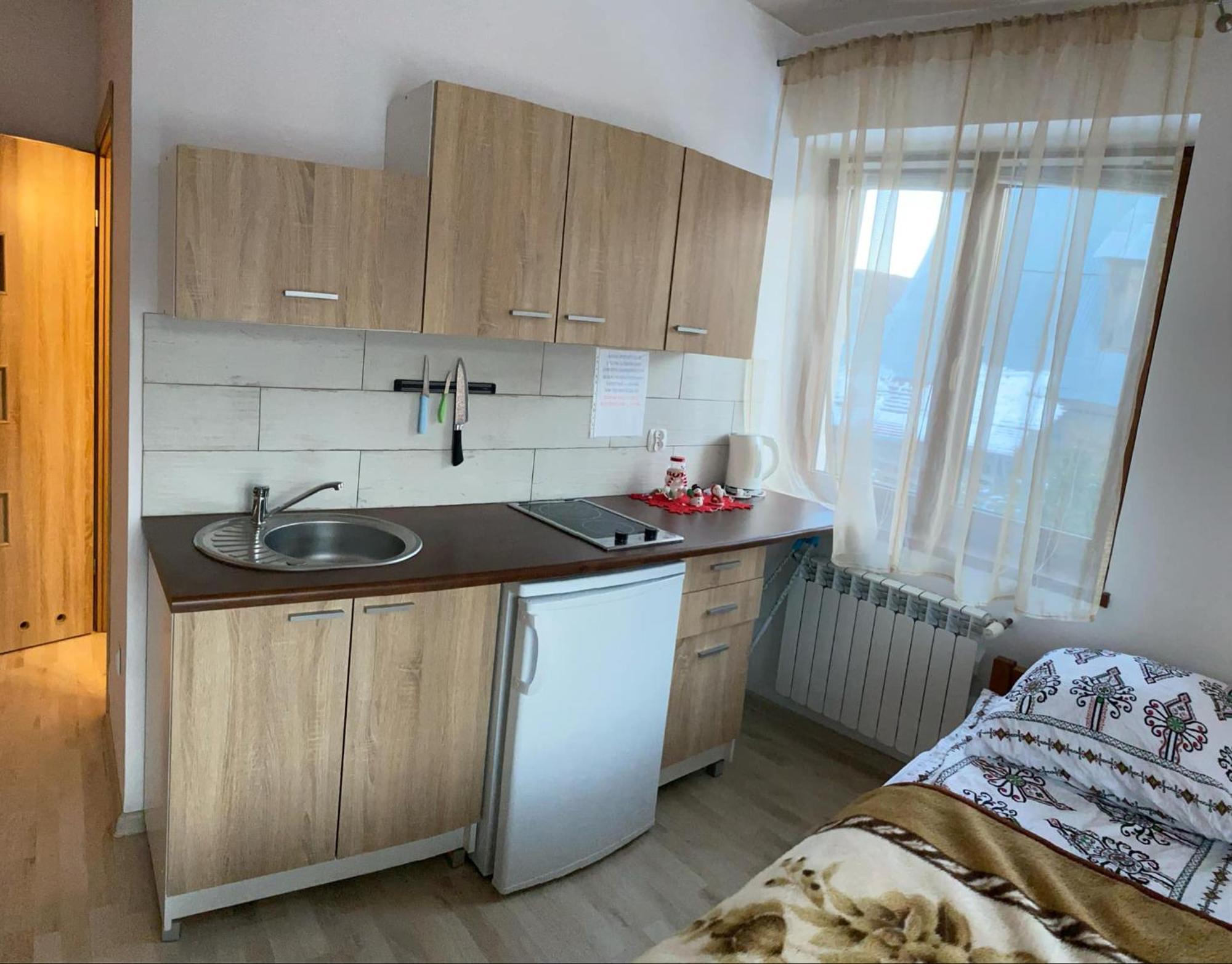Zakoporoniec Apartment Poronin Exterior photo
